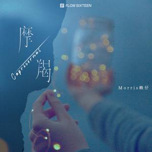 妈妈的闺蜜林姨陈叔
